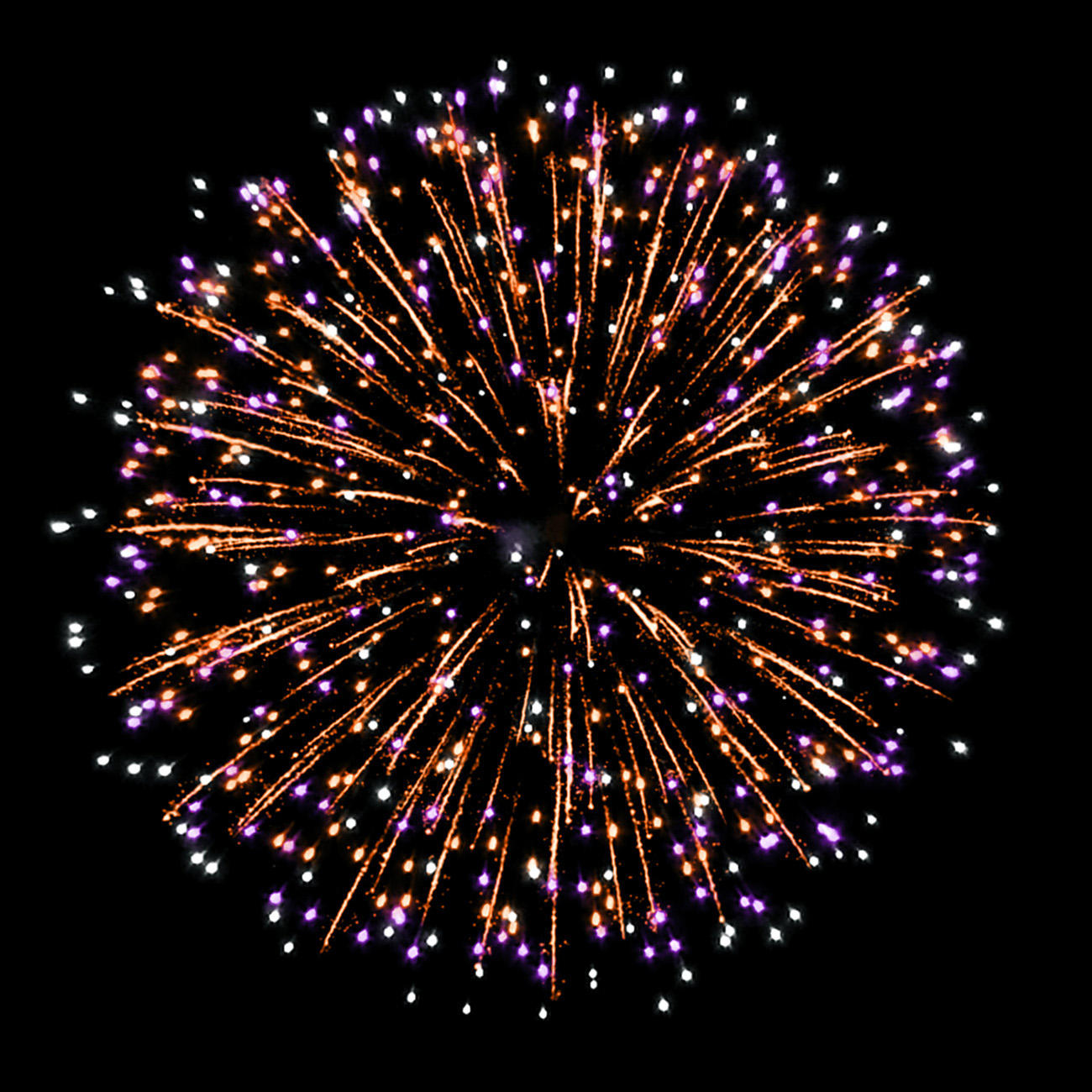 Салют гиф. Салют Neon Fireworks 25x1 gwm5048. Неон 25 салют. Фейерверк салют tkb035 