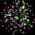 Коралловый риф